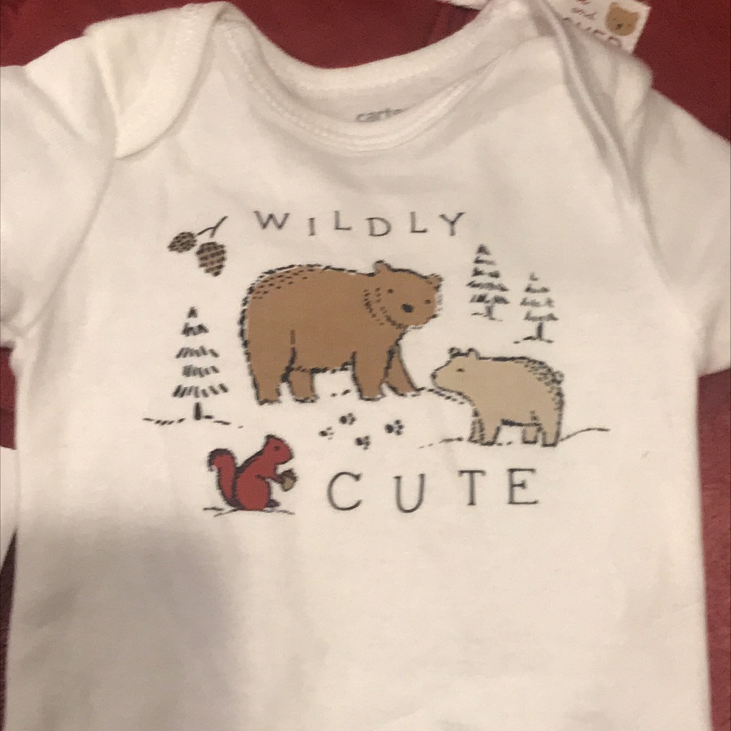 Brand New Carters Baby 3 Pieces